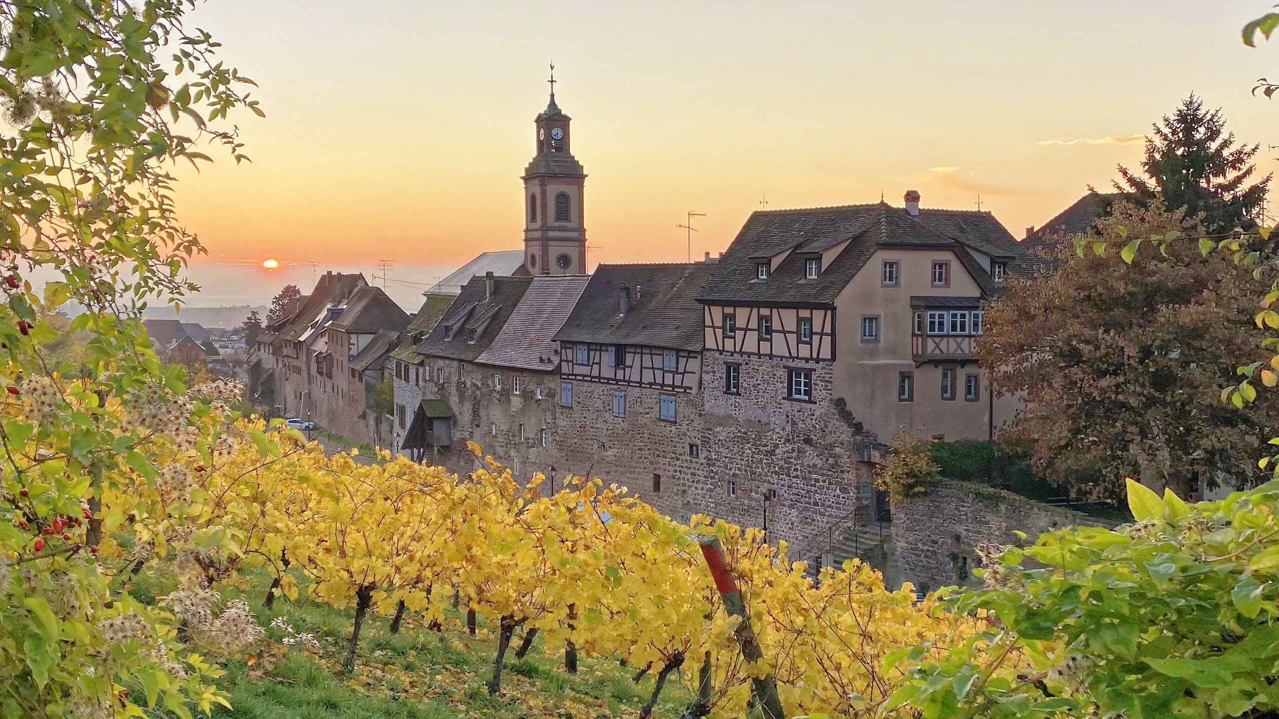 Private tours in Alsace & Black Forest - Best-of-Alsace.com