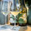 Enjoy a wine tasting in a biodynamic wine estate in kaiserstuhl in Germany