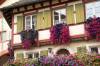 Like in Alsace the houses are in bloom in germany